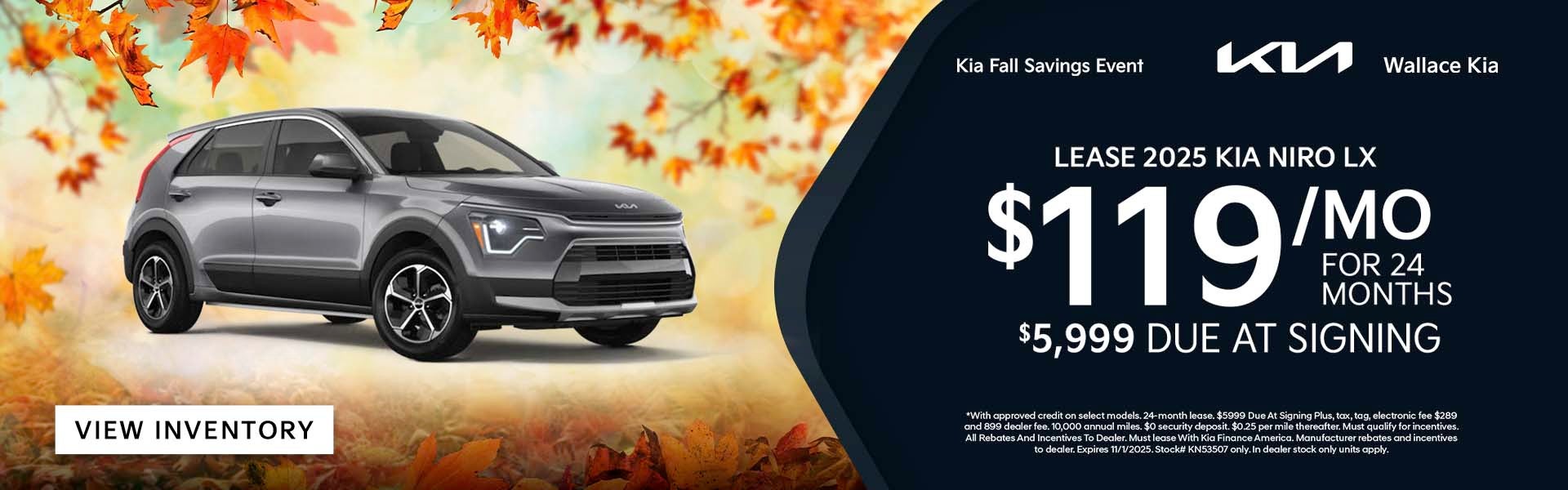 Kia Niro EV Special Offer